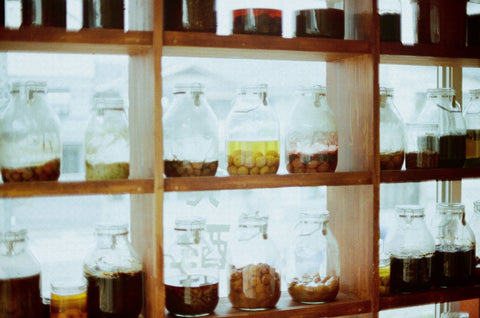Five of my favorite ferments I ate in Japan