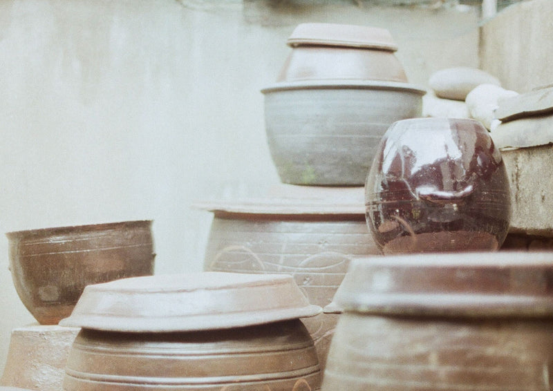 Five of my favorite ferments I ate in Korea