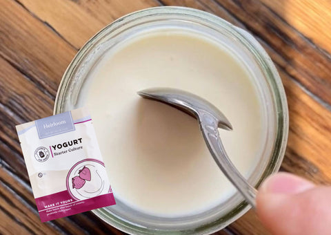 Yogurt’s Origins Are More Surprising Than You’d Think