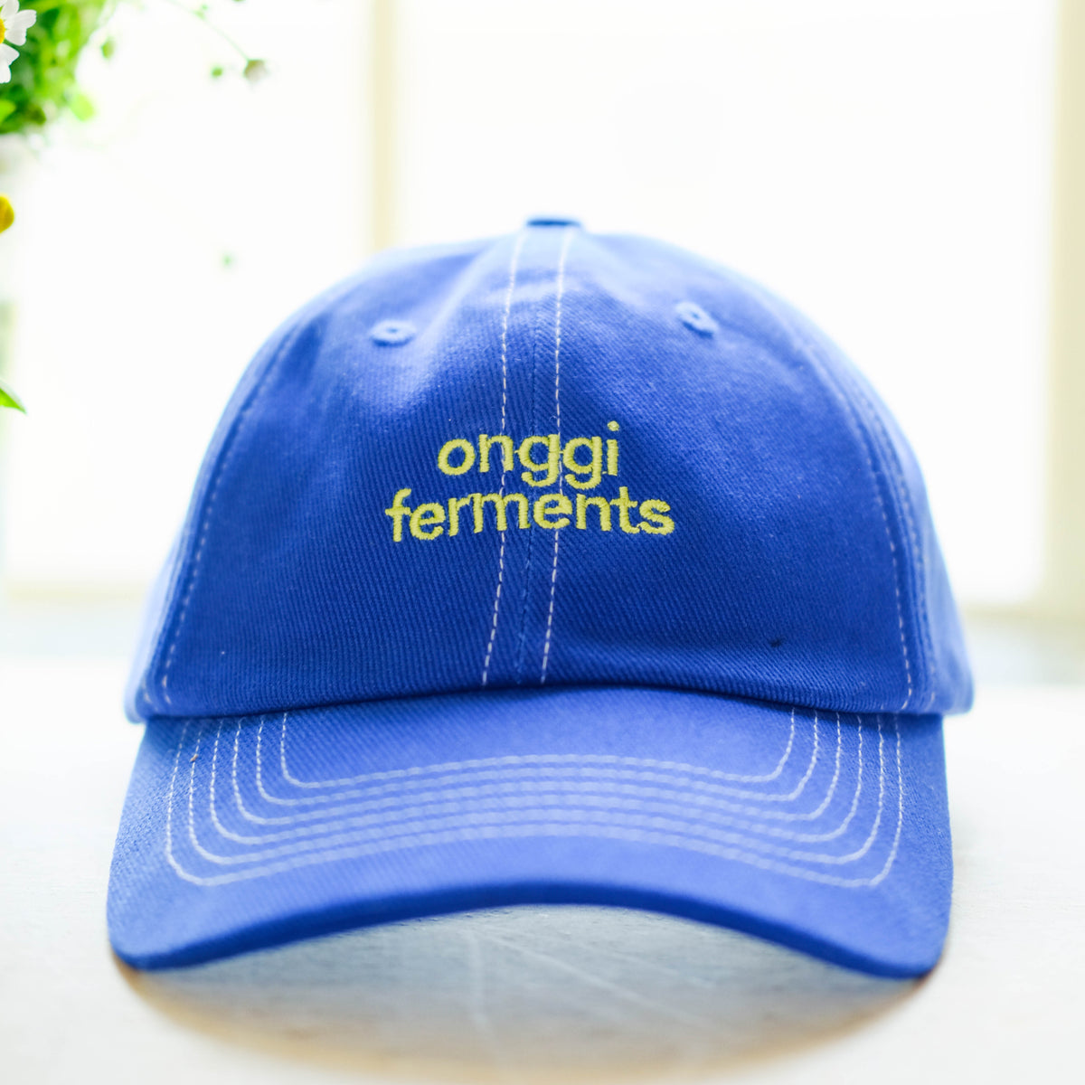 Ferments Dad Hat - Blueberry