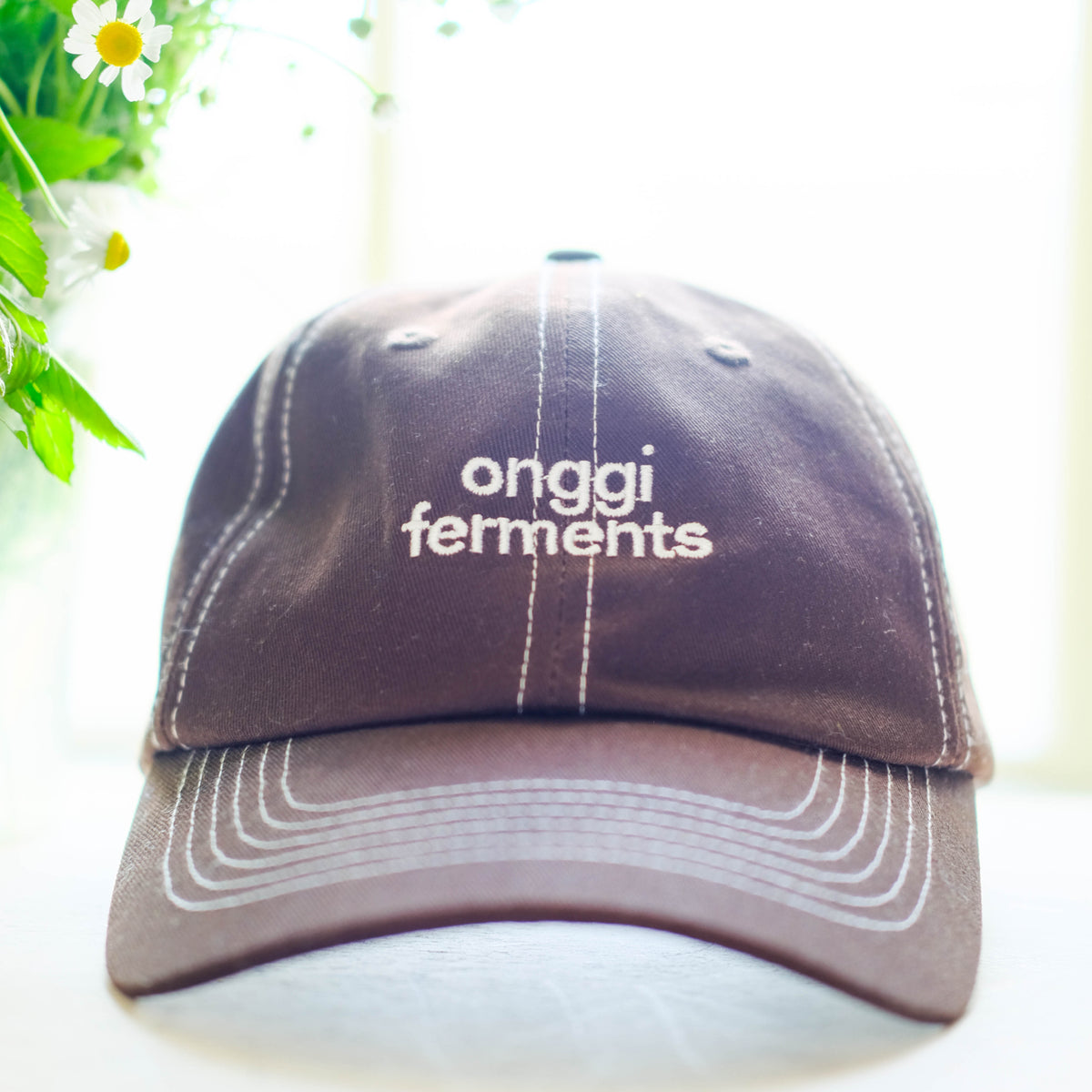 Ferments Dad Hat - Cold Brew