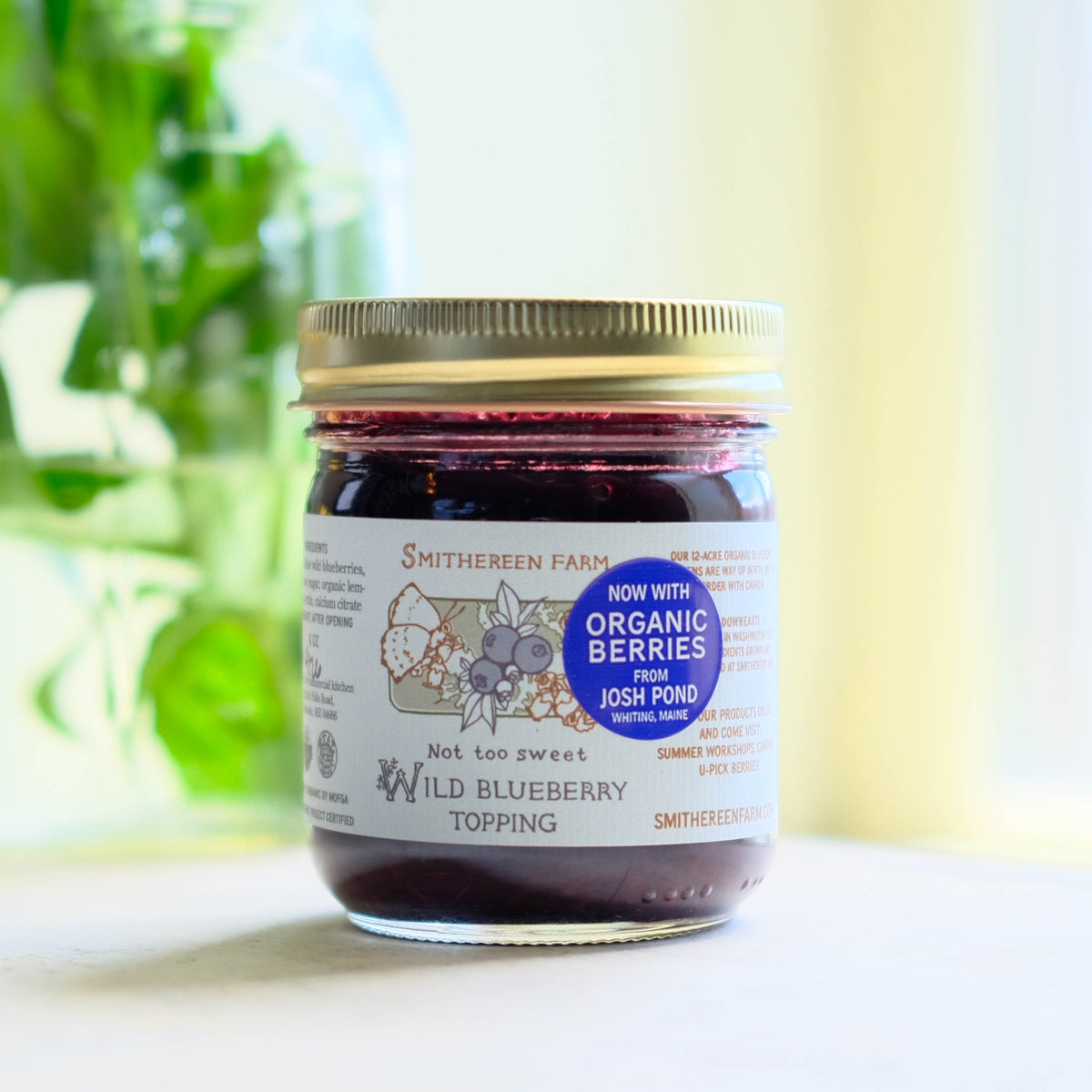 Wild Blueberry Topping