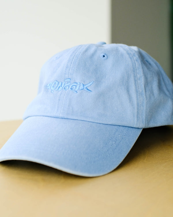Fish Hat